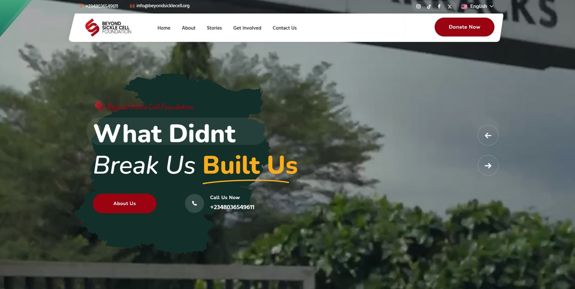 BeyonsickleCell Foundation